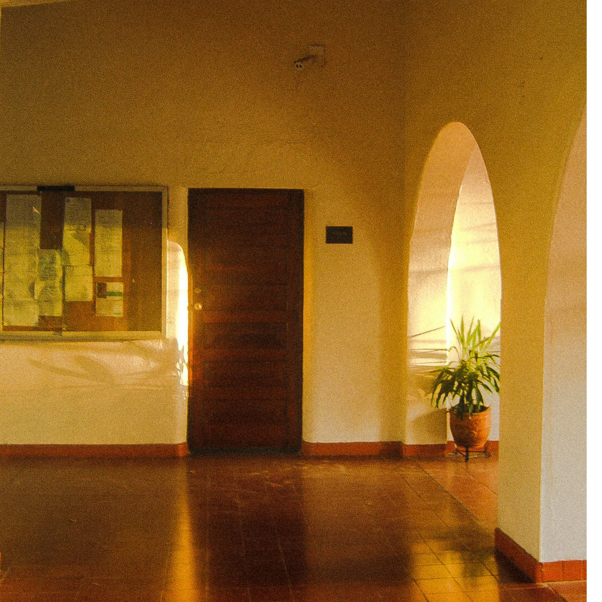 Sunlight fills a quiet hallway with an arched doorway and potted plant.