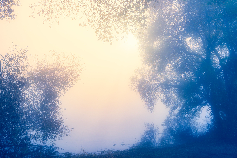 A misty riverbank at dawn, with silhouetted trees framing a soft glowing haze of pink and blue light over calm water.